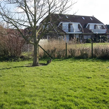 Im Reihenhaus, Friedrichskoog-spitze